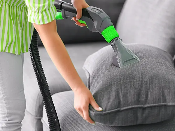 ndis upholstery cleaning belmont