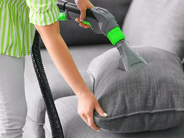 ndis upholstery cleaning cloverdale